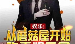 娱乐圈爆料类的小说推荐,揭秘明星背后的秘密与真相