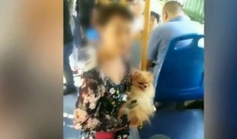 大狗最新爆料视频大全集